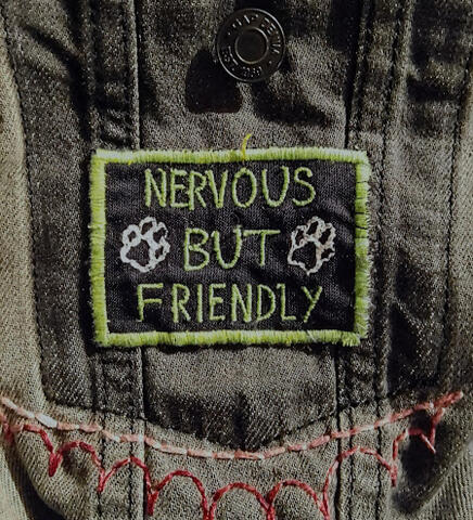 Nervous But Friendly